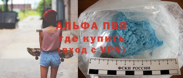 хмурый Аркадак