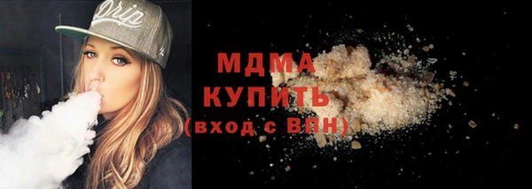 хмурый Аркадак
