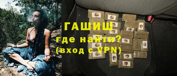 хмурый Аркадак
