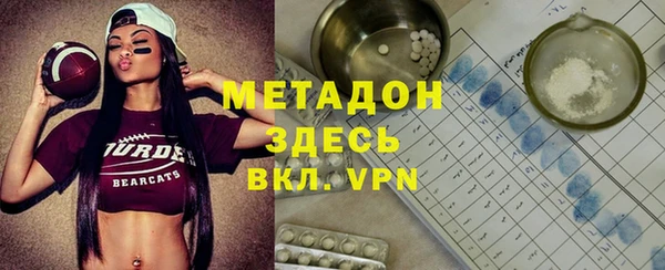 хмурый Аркадак