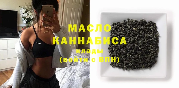 хмурый Аркадак