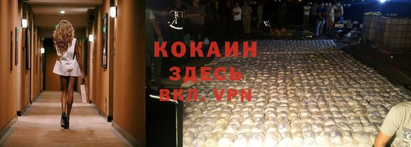 хмурый Аркадак