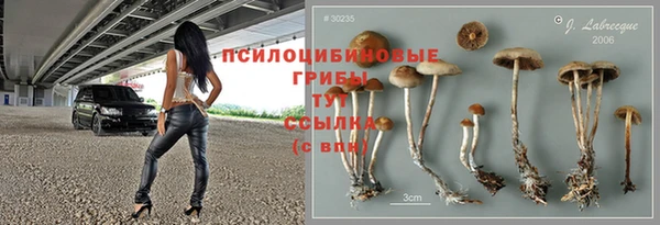ешки Армянск