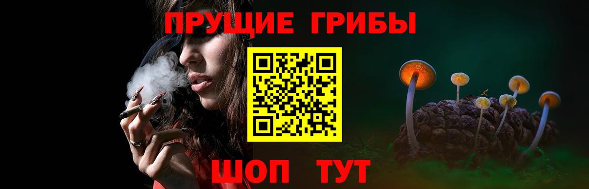 Псилоцибиновые грибы мухоморы Пермь
